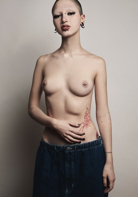 punk doberman perfect model img