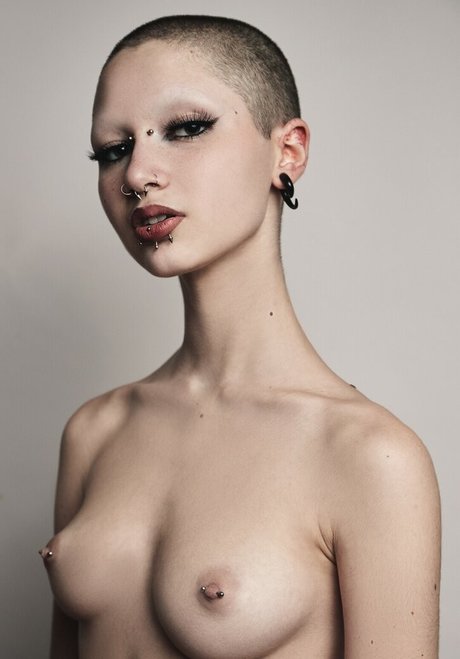 punk doberman model adult photo