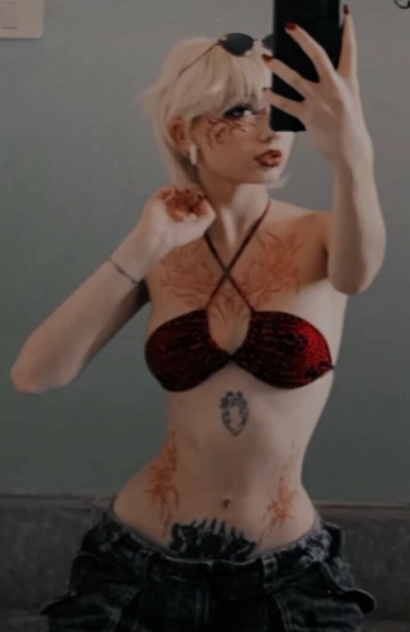 punk doberman high quality star gallery