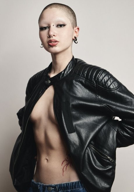 punk doberman beautiful star pictures