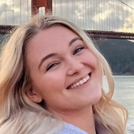 Hollyonfilm star art image