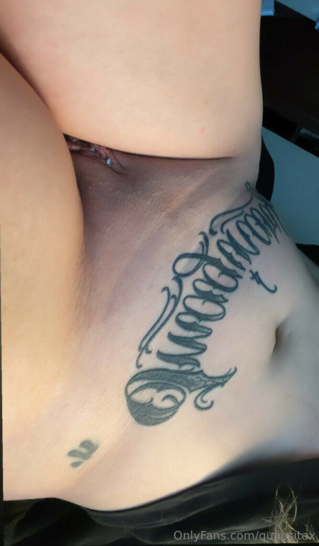 quaesitax xxx star galleries