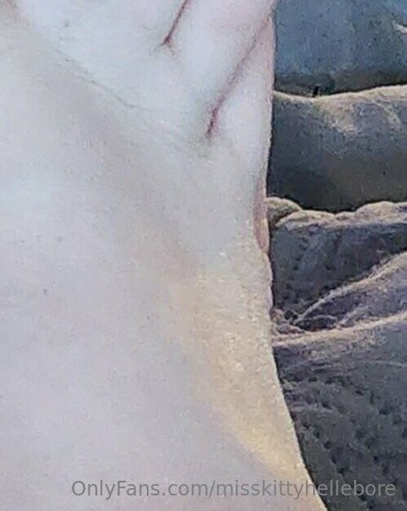 misskittyhellebore Profile pic