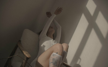 disimaria star top images