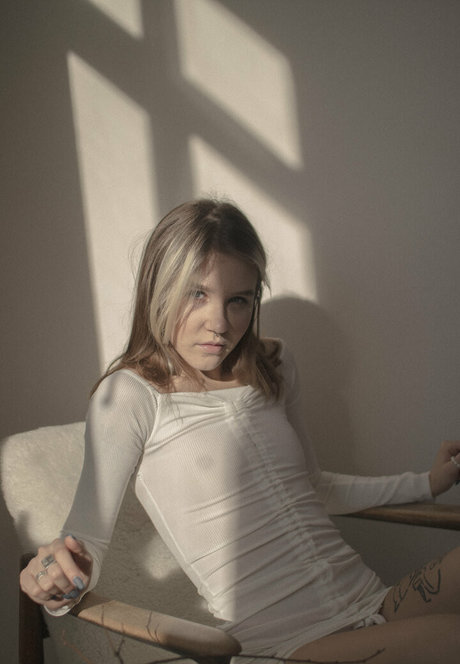 disimaria star nice archive