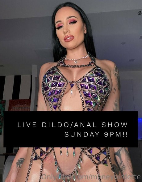 moneybirdette star free picture