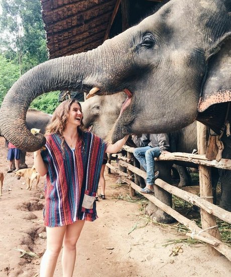 Leighton Wilson free star gallery