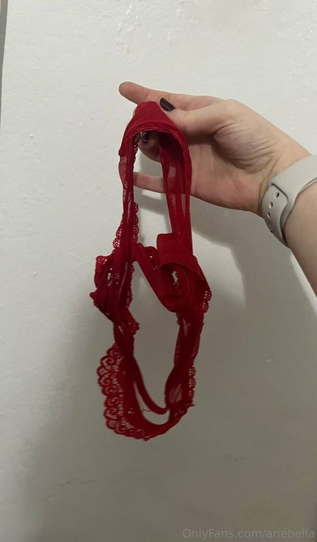 ariebella model top photo