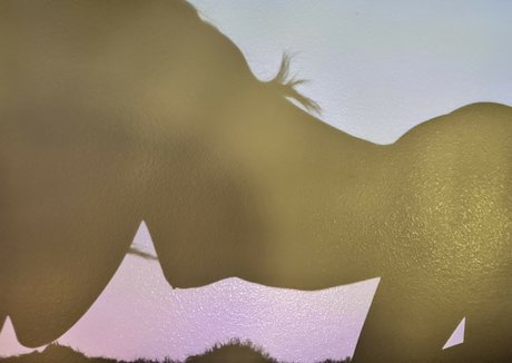 jackiefuxcks pornstar xxx photo