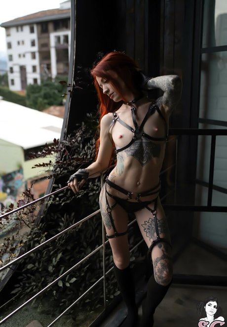 zarawolf pornstar nice archive