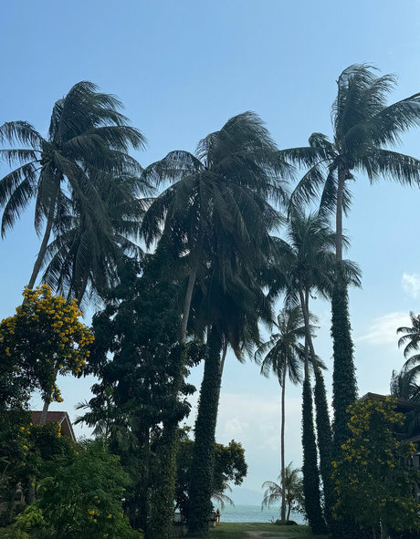 iamvirtuallady pornstar sexy pic