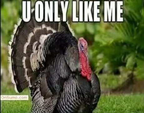 titstattsntravel model image