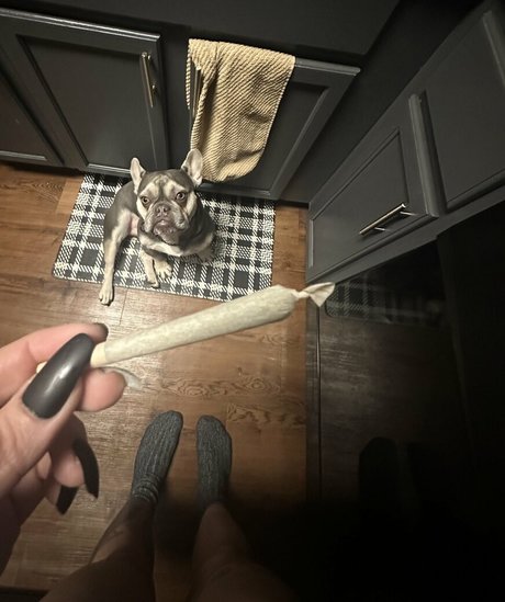 horrorwh0re pornstar best img