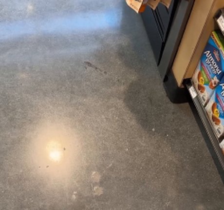 Gianna Dior star perfect galleries