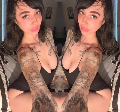 nova 6 pornstar galleries