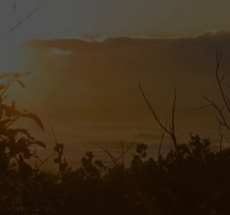 Ava Little model pornographic pic