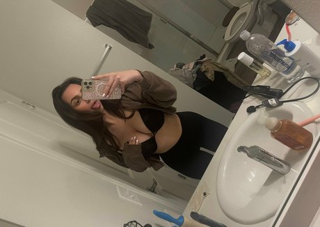 Veronicastar star pretty photo