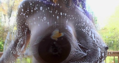 Nikki Sims star adult pics