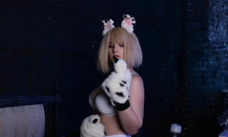 Agrifano perfect model images