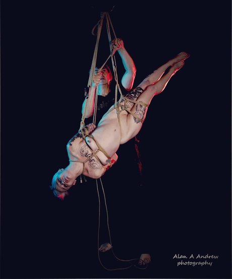 dinkytoy best model image