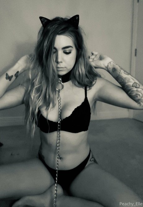 ellehart free art pornstar galleries