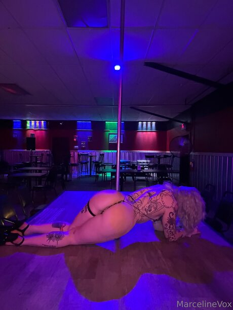 marceline vox sex star pic