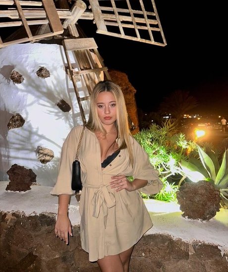 aricedress model art images