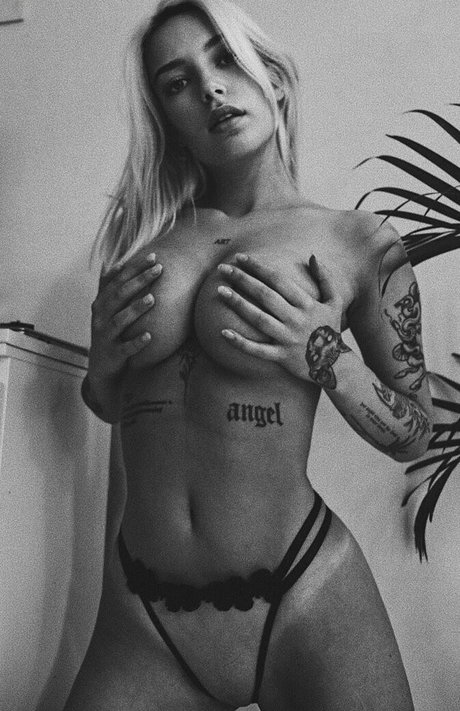 Lenkajzv model best image