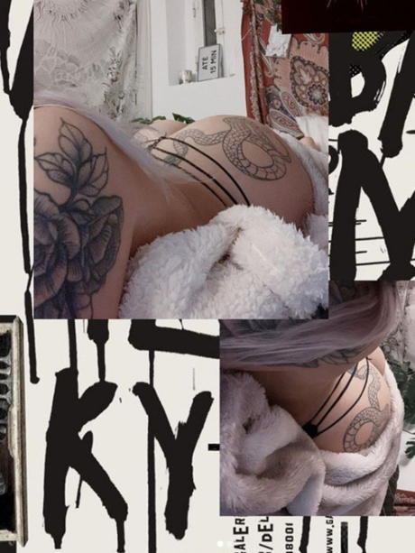 Pinustri star high quality galleries