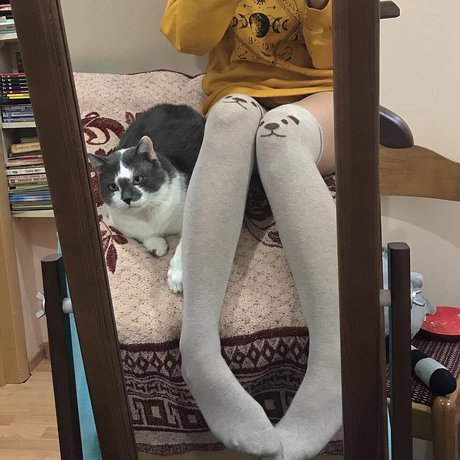 Tosha perfect model gallery