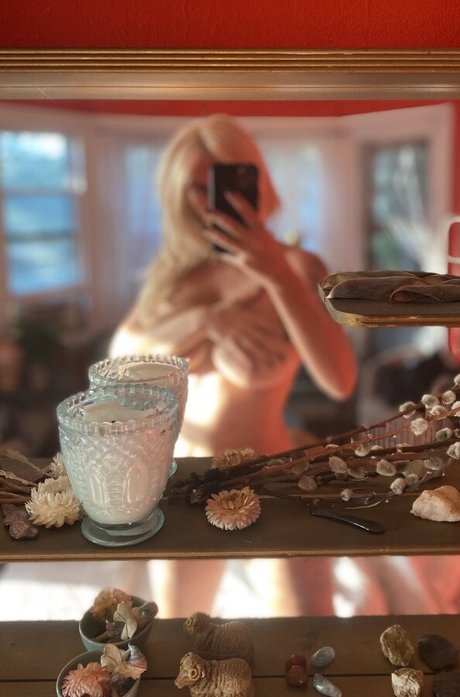 Cat Gold beautiful star gallery