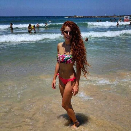 Daniel Shtayman best star photo