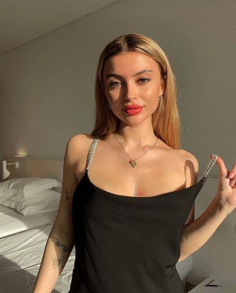 Linabmn best model picture