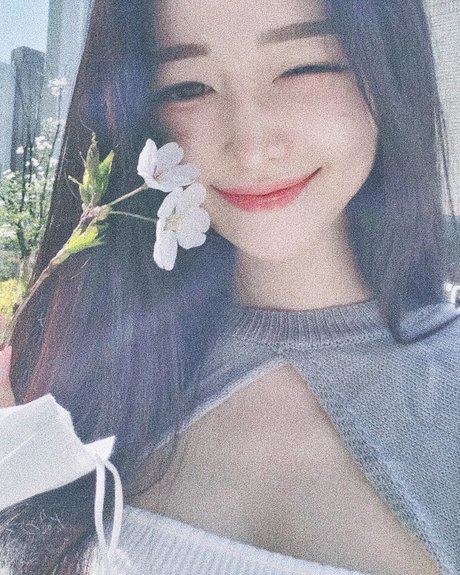 Vin Daily star best gallery