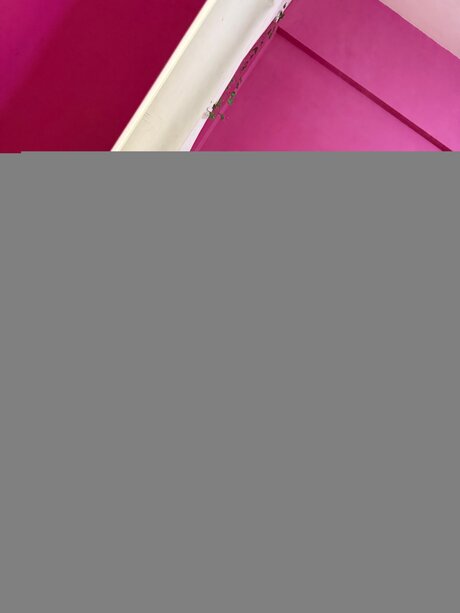 Sofiaindivar sex pornstar gallery