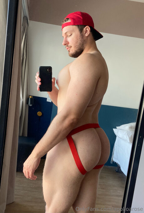 Apolloarose star best images