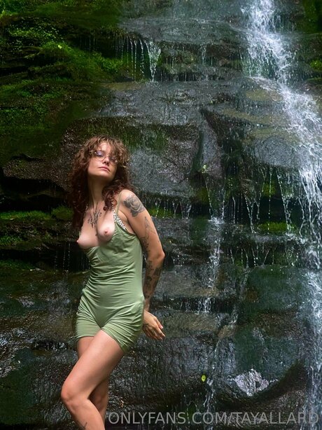 Tayallard pornstar free picture