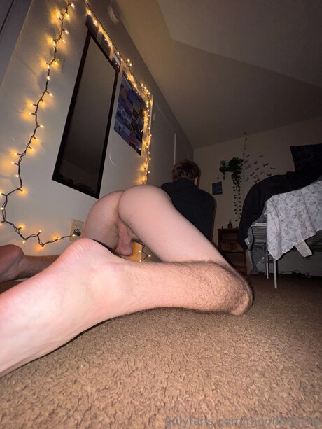 Moonbeachs hd star photos