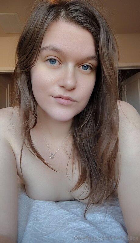 Chef Tulips pornstar adult archive