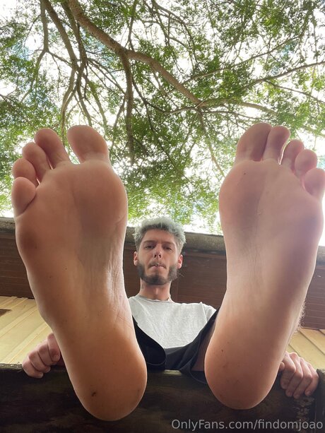 Findomjoao star xxx images