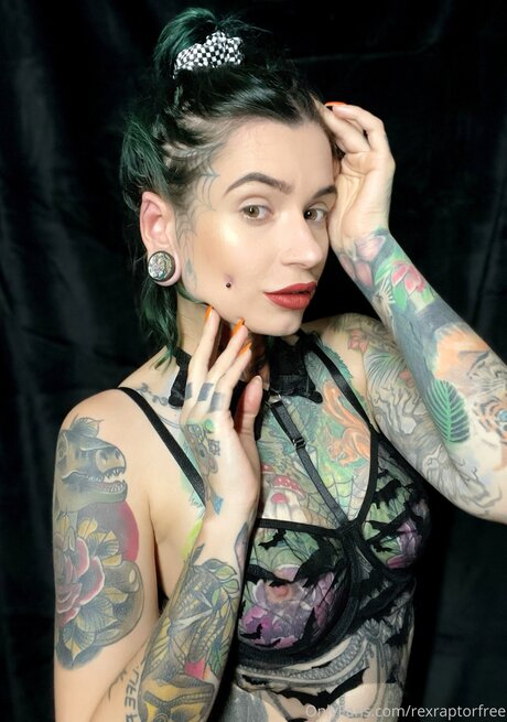 Rexraptorfree beautiful star photos