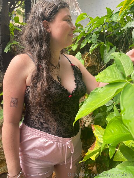 Ray Sunshine hot pornstar galleries
