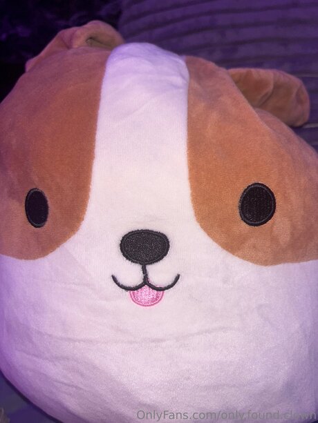 Only Found Clown erotic pornstar archive