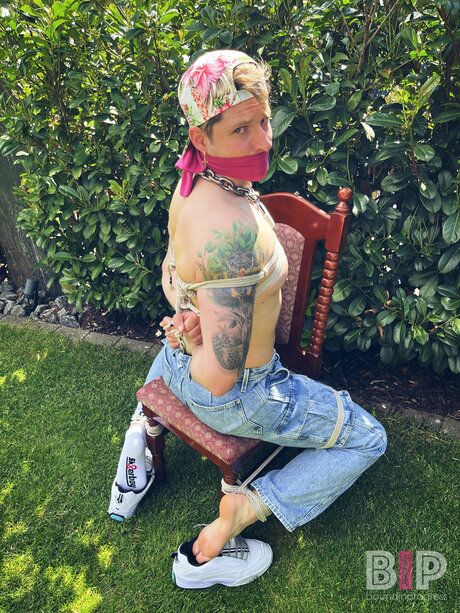 Boundinprogress star high quality pic