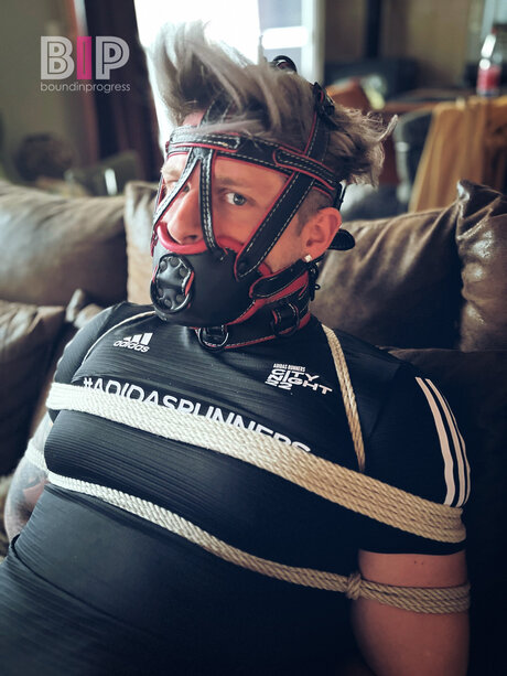 Boundinprogress star top pictures