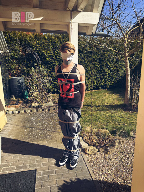 Boundinprogress star galleries