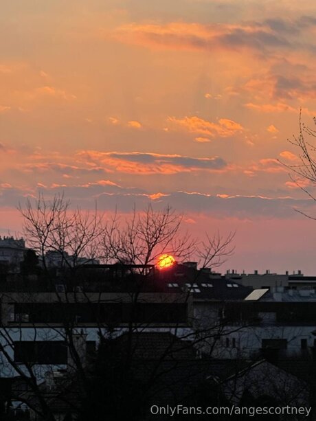 Angescortney adult model archive