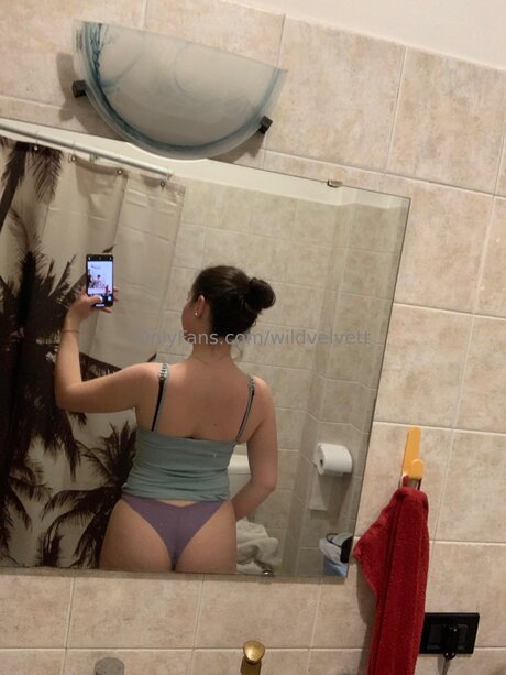 Wildvelvett nice star images