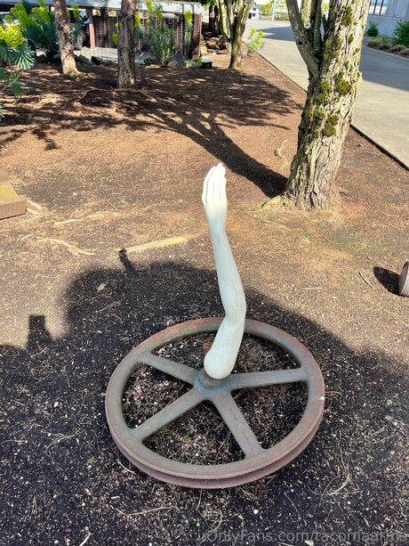 Tacomaarms star free pic