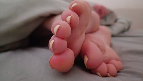 Tally Awesome model high quality photos